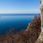 Napoleonica – gneča