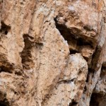 Chateauvert – krompirjeve počitnice v Provansi